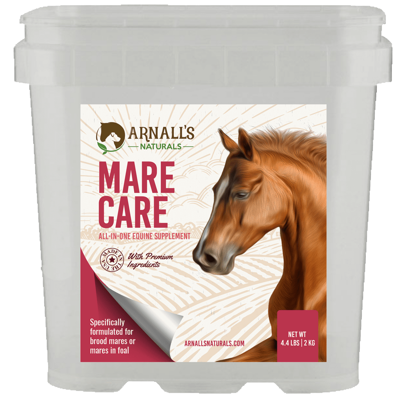 Mare Care: Wellness & Maintenance For Mares